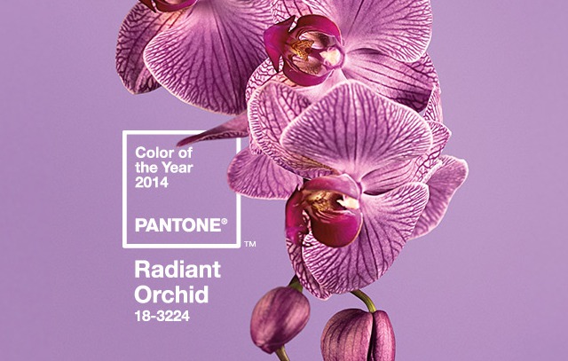 radiant-orchid