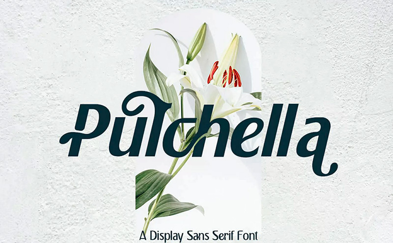 pulchella pulchella