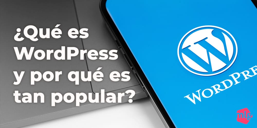¿Qué es WordPress y porque es tan popular?