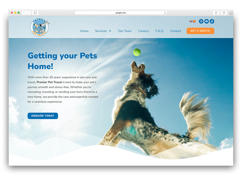 premiere pet travel Transporte y envío internacional de mascotas